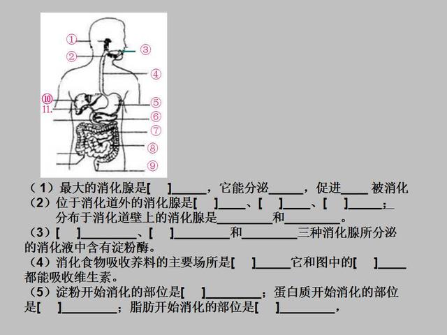 ռ棺ʦԭ֮ۺϱʼ